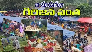 జి మాడుగుల గిరిజన సంత//G madugula tribal Market//tribal boy chalam vlogs