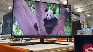 Vlog: Viewing laptops at Tukwila Costco