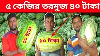 ৫ কেজি ওজনের তরমুজ মাএ ৪০ টাকায় | Watermelon price in bd 2022 | watermelon market | fruit market |