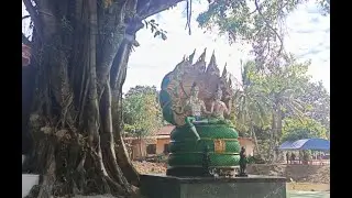 #วัดบ้านเดื่อ#ไทบ้านนอก เด้อ