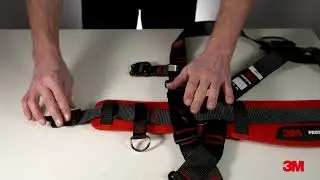 3M Fall Protection EMEA Protecta Comfort Harness with Belt Belt Loop D Ring Tool Attachment Point