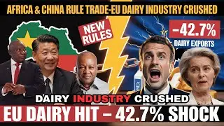 Europe in PANIC as China and Africa Shift Trade Rules - EU Dairy Faces a 42.7% Shock