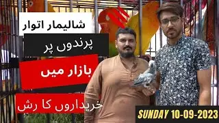 Lahore sunday birds market | new prices update | shalimar birds market lahore | Fida