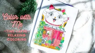 Lucky Cat Store- Time Lapse Coloring