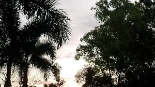 SATISFYING ASMR 2026 BEATS OF NATURE WEATHER MORNING RELAXING UPDATE MELODYSHORTMUSUC