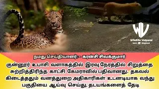 Leopard Seen Roaming at Night in Coonoor Upasi Campus &ndash; Forest Department Intensifies Vigilance