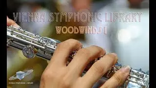 VSL Woodwinds I - Walkthrough