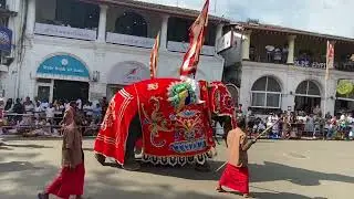 ඇසළ මංගල්&zwj;යය මහනුවර දහවල් පෙරහර 2025/ srilanka kandy procession 