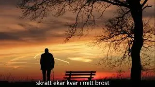 Du var min bror, jag gl&ouml;mmer dig aldrig