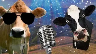 Funny cow dance 3 │ Cow song & Cow video