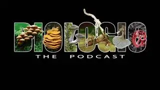 Episode 66 - Humans & Fungi (Original)