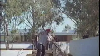 Montage - TWS In Bloom