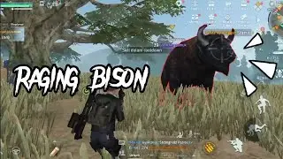 CARA MENYELESAIKAN MISI RAGING BISON UNDAWN | #TutorialBoG