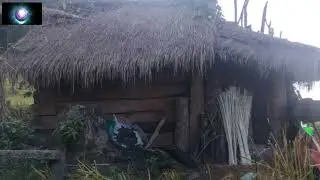 MUS YOG HAV ZOOV HNOV XYW  HU  TXAUS NTSHAI