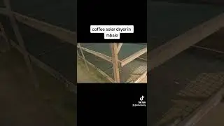 Coffee solar dryer for 35tons per single dry