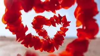 Valentines Day Heart Love HD Wall Art for TV - Quiet Galley - Art Screensaver TV - 2 Hours