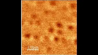 Nano/Micro Refractive Index Profiling Correlated With Structural Chemical Alterations