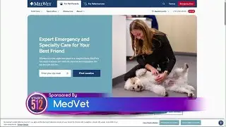 MedVet Pet Of The Week: &ldquo;Gamorrean&rdquo;, From Texas Humane Heroes