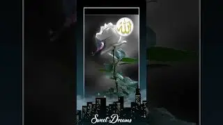 islamic video | good night🌙 #goodnightstatus #ytshort