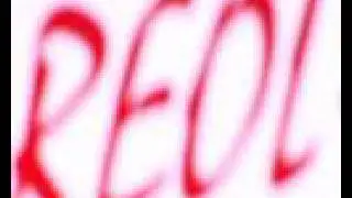 REOL Property Consultants