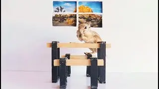 Building a TINY TABLE for a TINY SQUIRREL to Eat From