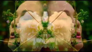 Peter's Garden - Peter Rosendal ft. Nancy Harms