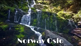 Oslo Norway Nature 4K