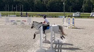 MCN || Stadium Jumping || XC || Horse Trials