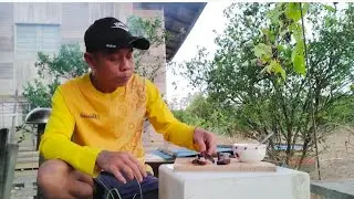 21 Januari 2026 Nyawa Nyera Ke Tunu Petai Tepagang Di Lebuh Emperang