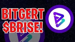 BITGERT $BRISE UPDATE! STARTUP STUDIO CONTINUES TO POWER PROJECTS! + TWITTER VERIFICATION!