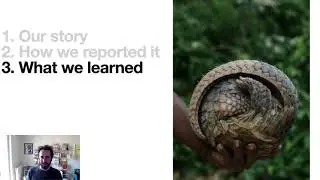The Pangolin Reports &ndash;&nbsp;Patrick Boehler