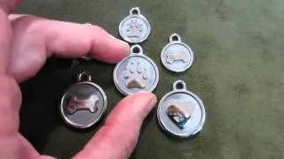 Silver Paw Stainless Steel Pet Tag Highlights.avi