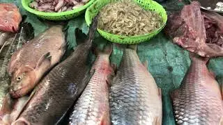 Fishes and foods at a community market | local daily life activities and Livelihoods in Cambodia