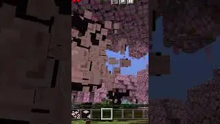 Minecraft short breaking a cherry wood down