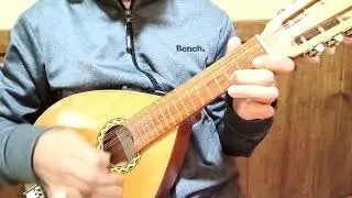 Yo he creído, mandolina 2