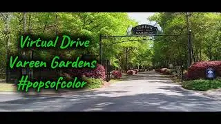 Vareen Gardens #popsofcolor #virtualdrive