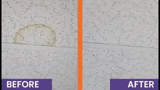 MTN PRO Anti-Stain Paint