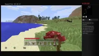 Minecraft w/Sly2205
