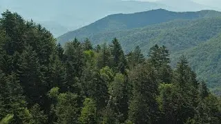 Rick Huffman: Biodiversity of the Southern Blue Ridge