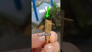 Unusual military traditions