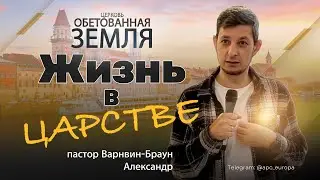 Жизнь в Царстве | Александр Варнавин-Браун