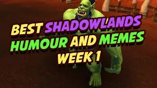 The Best WoW Shadowlands Memes and Humour - Week 1