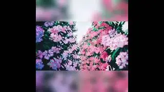 [FREE] Lofi Type Beat- 