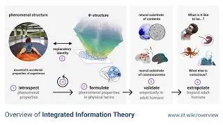 Episode 1: Overview of the Integrated Information Theory of consciousness