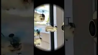 ТВОИ СНЫ ПРИ ТЕМПЕРАТУРЕ 38.9 😂 #reels #cat #kitty #shorts #youtubeshorts #subscribe