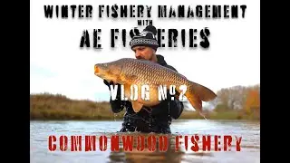 Winter Fisheries Development Vlog with AE Fisheries #2: Commonwood 2021