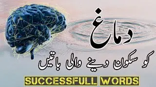 successful-words|Pursakoon-batien|Islamic-qouties#viral#successful