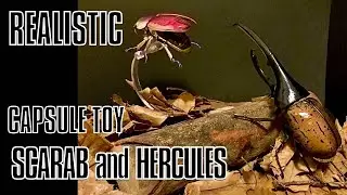【Opening Japanese capsule toy!】scarab beetle and hercules beetle