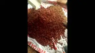High efficiency and energy saving of wood pellet machine
