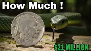1936 Buffalo Nickel Value 💰 SUPER RARE Coins Worth A LOT of Money in the USA